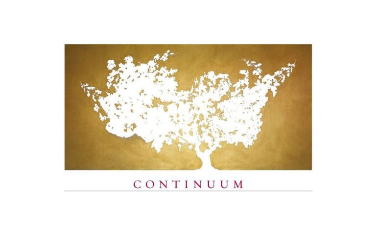 Read more about the article Continuum