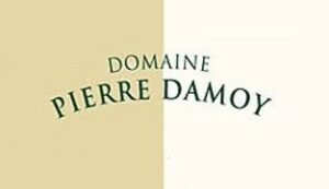 Read more about the article Domaine Pierre Damoy