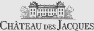 Read more about the article Chateau Des Jacques